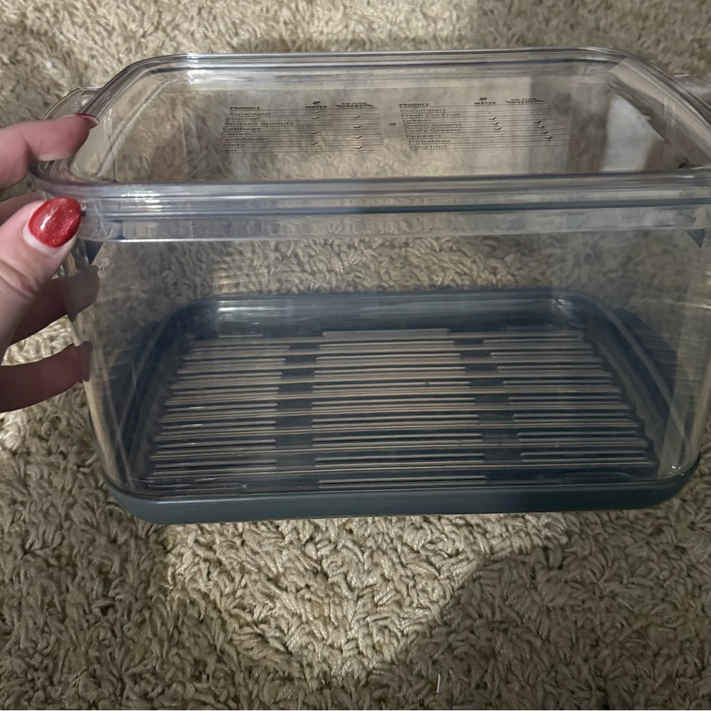Transparent Food Storage Container with Gray Lid set of 3